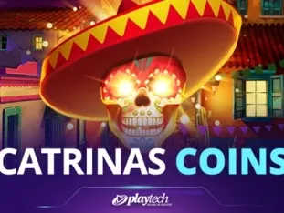 Catrina's Coins game screenshot